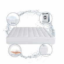 The Top Quality Double And Single Bed Waterproof Protector/Mattress Protector For Bed